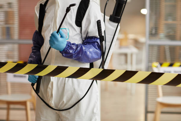 Professional Sewage Cleanup technician working in New Gretna, NJ